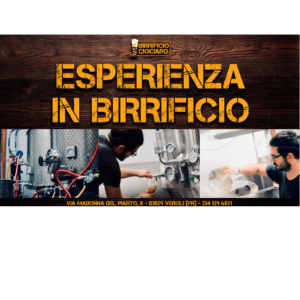 Esperienza in birrificio