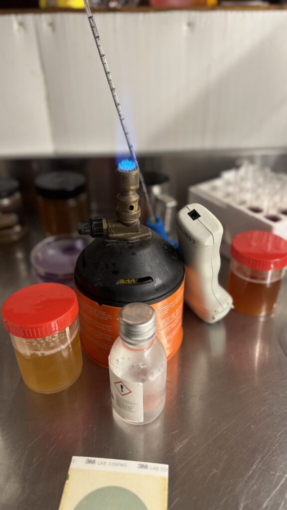 Preparazione campioni sotto becco di bunsen per analisi birra